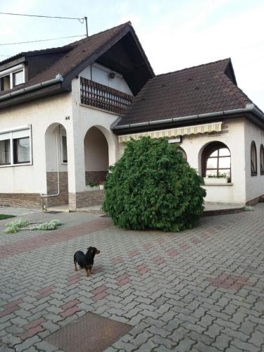 Vincze Vendégház - main image