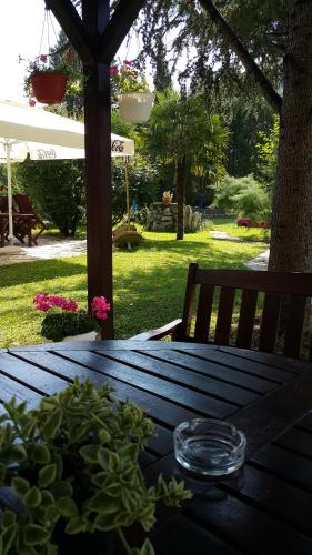 Sara, Buzet (photo 9)