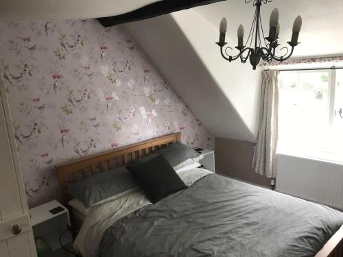 Ham Tree Cottage in Holt (Wiltshire)