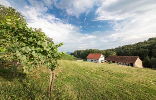 Schwalbennest Pongratz - Location saisonnière - Gamlitz