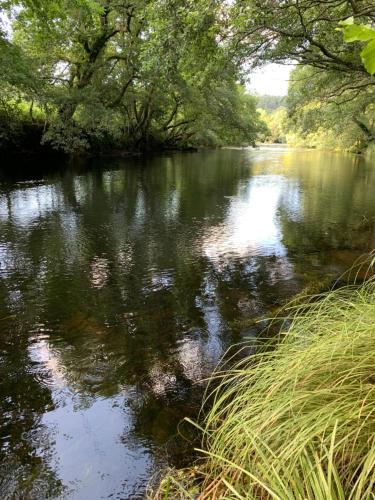  Pilgrim’s House in O Pedrouzo