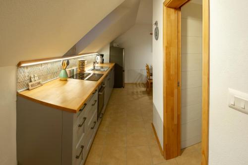Apartments Laznica Room Type - Standard Apartment Apartments Laznica Room Type - Standard Apartment
