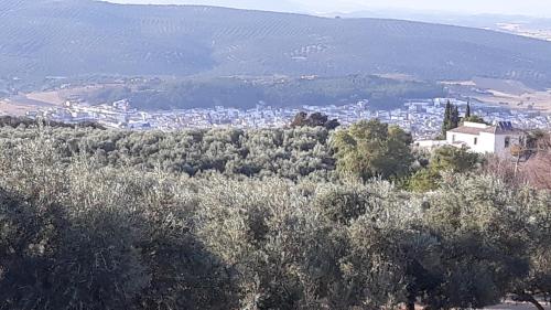  Cortijo la Dehesa del Trabuco in 29313 Villanueva del Trabuco