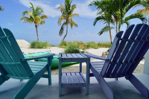 Deer Run on the Atlantic in Big Pine Key, USA