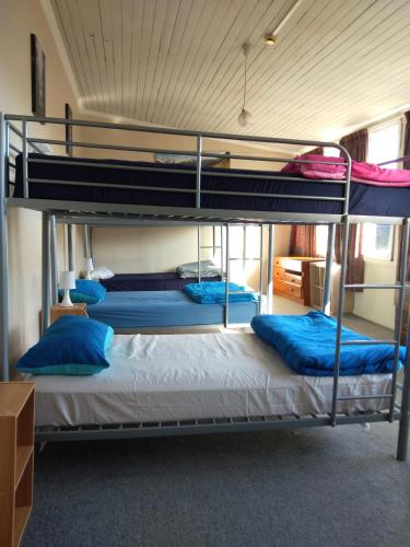 Bed in 6-Bed Mixed Dormitory Room