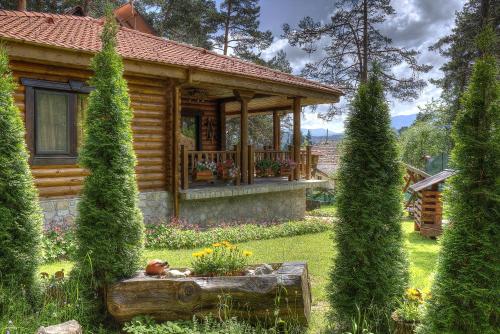 Villa Borovinka - image 5
