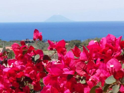  Villa Macria in Capo Vaticano
