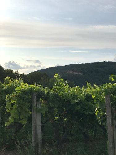 附近景點, Ferienwohnung Wanderlust in 克林根明斯特