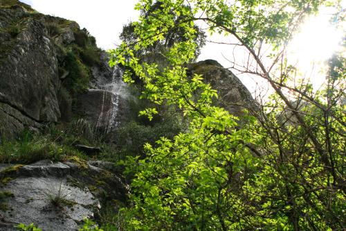 Convento Da Serta Hotel - image 11