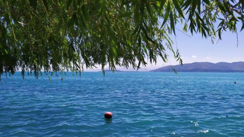 EDEM SEVAN - image 6