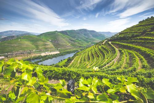 Quinta do Valdalagea - Celorico De Basto