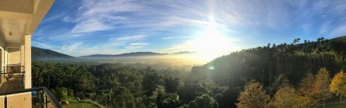 View, Sunrise Forest in Fenglin Township