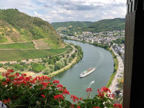 vakantiehuismoezel - image 14