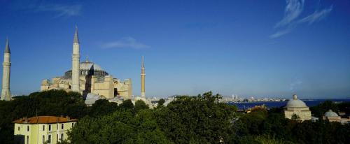 フエゴ デザイン スイート