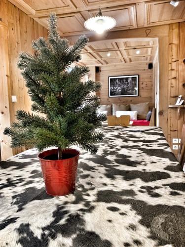 Chalet Marie Claire in Notre Dame De Bellecombe