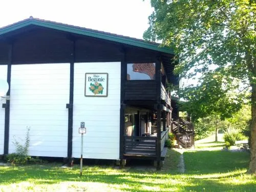 Begonie in Siegsdorf, Deutschland