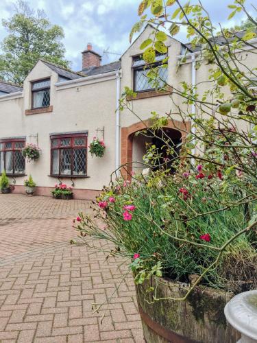 Bessiestown Country Guesthouse - image 9