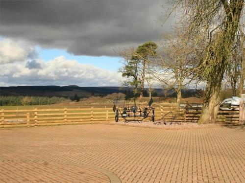 Bessiestown Country Guesthouse - image 12