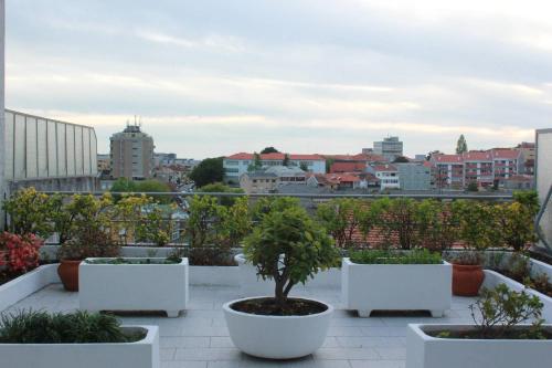  House with an amazing terrace in Porto