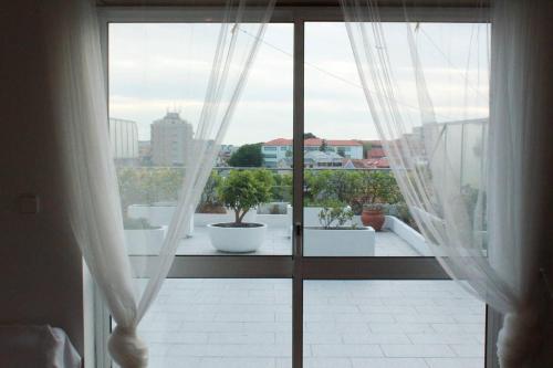  House with an amazing terrace in Porto