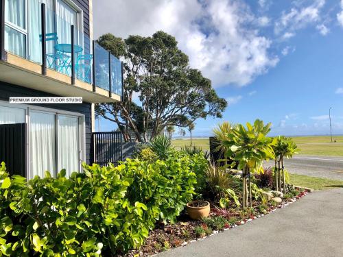 Ground Floor King Studio with Sea View