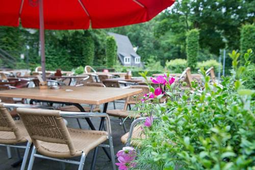 Cozy chalet and swimming pool in Durbuy