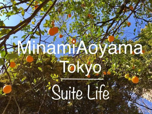 Minamiaoyama 1st Room Type - One-Bedroom Apartment 401