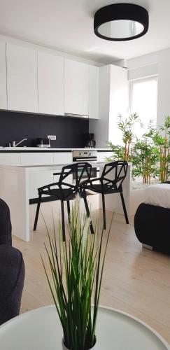 Studio Apartment image 1