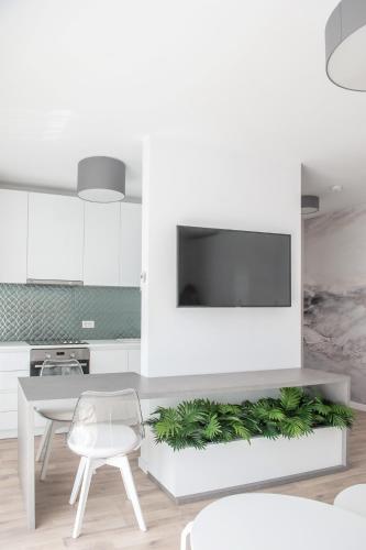 Apartment image 4
