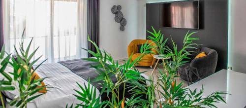 Studio Apartment image 2