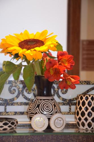 Vista del Angel Hotel Boutique - image 2
