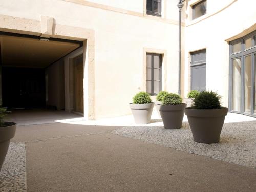 Sasha bel appartement renove centre ville Beaune - image 8