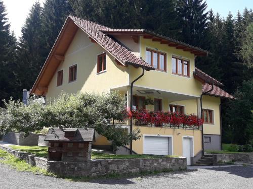 Pletz - Apartment - Obdach