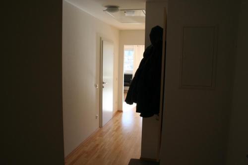 Appartement Enns by Schladmingurlaub - image 12