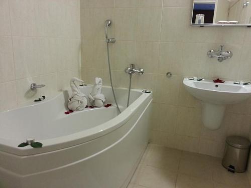 Wellness Hotel Synot