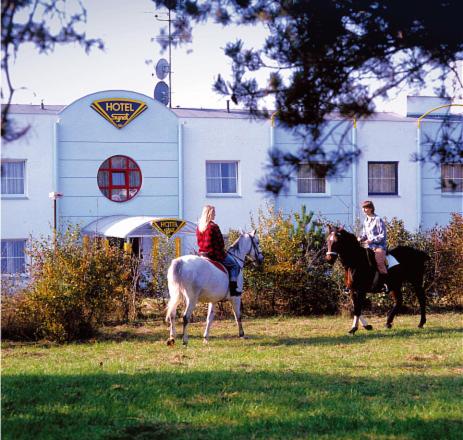 Wellness Hotel Synot