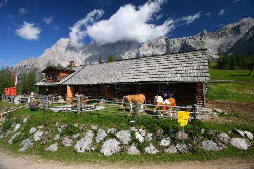 Appartement Enns by Schladmingurlaub - image 11