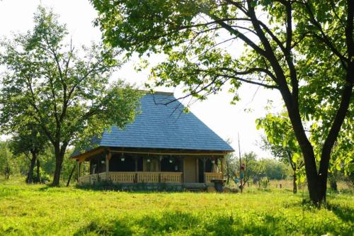 Căsuța din Gradina - Accommodation - Breb