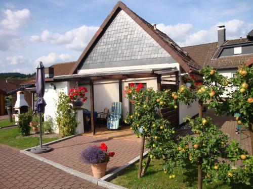Ferienhaus Pahl in Wolfshagen in Wolfshagen, Deutschland