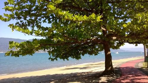 Casas em Ilhabela com Linda vista, em Vila Paulino, casas Colibri e Tucano, praia Itaguaçu