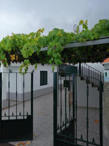  São Pedro House in Santana