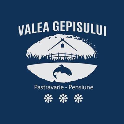 Pensiunea Valea Gepisului - image 14