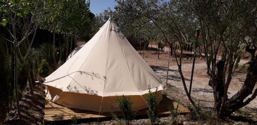  Pachamama ecocamping, Unterkunft in Alborache