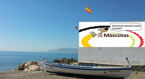 Elcano - image 4