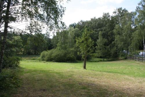 Surrounding environment, Zu den grauen Ziegenbocken in Bad Klosterlausnitz