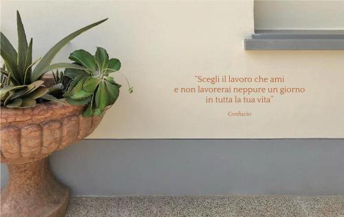 I MERISI - image 12
