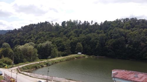 Apartment Lake Tryavna