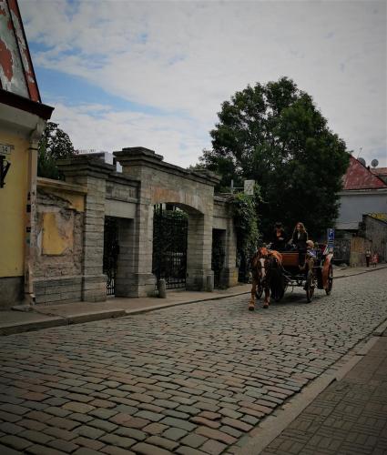 Perfect stay in Old Town with Parking, Tallinn (photo 5)