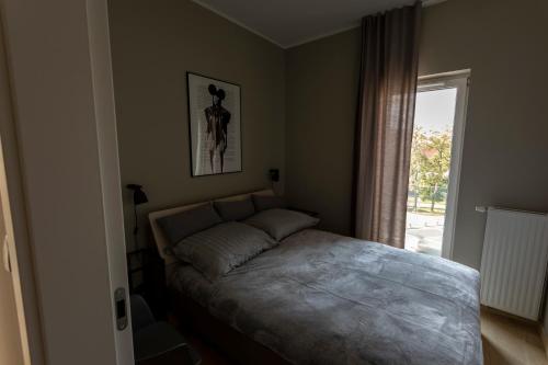 1 queen bed, 1 sofa bed