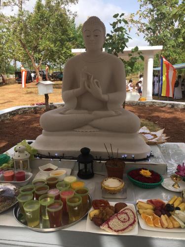 Peacock Resort – Anuradhapura, IA